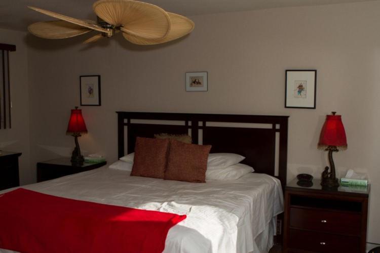 Sea Mountain Nude Resort & Spa Hotel - Adults Only Desert Hot Springs Buitenkant foto