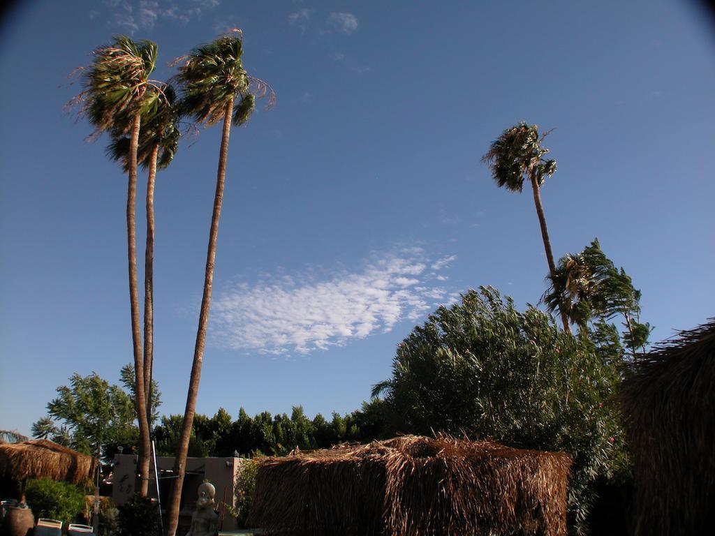 Sea Mountain Nude Resort & Spa Hotel - Adults Only Desert Hot Springs Buitenkant foto